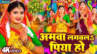 #Video | अमवा लगवल पिया हो | देवीगीत पचरा 2026 | #Ranithakur | #DeviGeet Pachra | Amwa Lagawala Piya