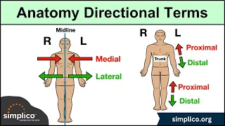 Anatomical Position and Directional Terms Anatomy MADE EASY