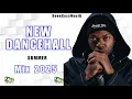 Download Lagu Latest Dancehall Mix 2025 | IVANY - Skillibeng, Vybz Kartel, Spice, Aidonia, RDX, Kraff