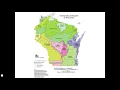 Hunting Morels in Wisconsin with mycologist Michael Scott Zirpoli