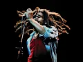 Bob Marley -  Pimper's Paradise