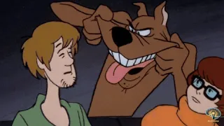 كيفية حفظ ادوية Cephalosporines 