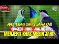Lagu GURU VOKAL BERKELAS MEWAHHH! CEPAT MASUK - TEMBAKAN KASARAN - KOMBINASI CUNGKOK KINOI DAN JINGJING