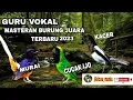 Download Lagu kombinasi burung juara murai batu vs Kacer vs cucak ijo Gacor