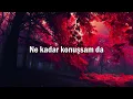 soft analog - kaç ' sözleri (lyric video)