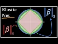 Elastic Net Regularization Data Science Concepts