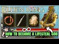 How to Become OP IMMORTAL Vampire Do MASSIVE Damage - Best Dex Hand of Malenia Build