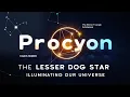Procyon Unveiling the Secrets of the Brightest Star in Canis Minor