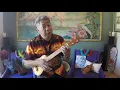 Echo And The Bunnymen Crystal Days Cover Ukulele Adrian Demain