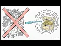 Beyond SQL NoSQL Why You Need Graph Data Models DDIA 3 4