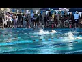 SCSC 13-14 Girls Lane 4 400m MR - 2026 FW Finals