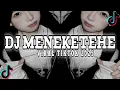 DJ MENEKETEHE VIRAL TIKTOK 2025 