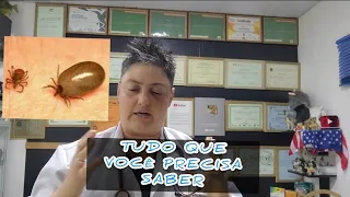 TUDO SOBRE A "DOENÇA DO CARRAPATO"