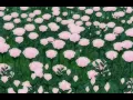 magdalena bay - dreamcatching (slowed + reverb)