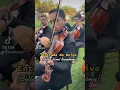 Download Lagu Entrada para Noivo #noiva #casamento #musicapracasar #entradadonoivo