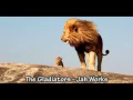 Download Lagu The Gladiators - Jah Works