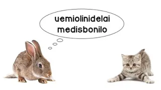 Uemiolinidelai Medisbonilo 