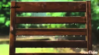 مونتاجي حسين الجسمي ومن كان فيها 