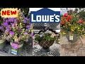 LOWE S BEST NEW PLANTS ARRIVALS HOW TO MAKE YOUR GARDEN BEAUTIFUL