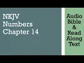 Numbers 14 - NKJV