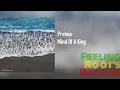 Download Lagu Mind Of A King - Protoje