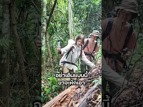 เดินป่าหน้าฝน ระวังสิ่งนี้ #มิ้นท์นวินดา #ปักหมุดชาแนล #โจโฉ #บ้านต้นไม้ #หน้าฝน