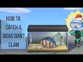 HOW TO CATCH A GIGAS GIANT CLAM Animal Crossing New Horizons Tutorial Summer Update 1 Game Play