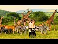 Download Lagu RAJA presents WAKANDA in AFRICA for Cafe De Anatolia [Wild DJ Live Set \u0026 Afro House \u0026 Techno]