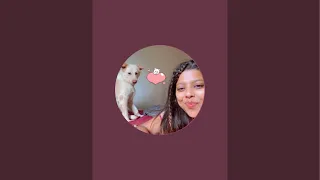 Updates, we need dog cages , dog bed , dog food π