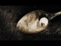 Pixies - Hey (John Peel Session, 1988) [Official Audio]