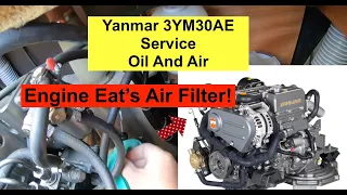 Yanmar 3YM30 Service. Part 1 OIL and AIR  Filter Change. This engine eats it’s Air filter!