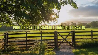 Leo Dan - Aires de Zamba (Video con Letra y Visualizer)