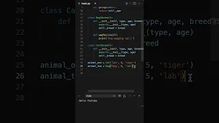 Python Polymorphism Explained How to Use Polymorphism in Your Python Projects