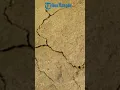 Download Lagu GUNCANGAN GEMPA MELANDA WILAYAH YOGYAKARTA 22 AGUSTUS 2025