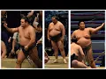 Hoshoryu has knee operation and likely OUT of September Sumo News Aug 19th