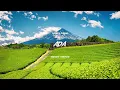 Lyodra, Afgan - Ada Slowed + Reverb