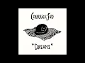 Courrier Sud - Dreams