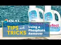 Leslie s Tips Using a Phosphate Remover Leslie s