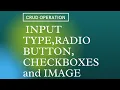 How to insert a Radio button CheckBoxes into database using PHP Mysql