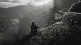 vague003 drowning arthur morgan 