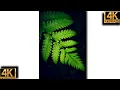 Download Lagu New Best Cool instrumental Ringtone | Mind Relax Ringtone | Trending Ringtone 202#shorts