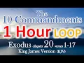 10 Commandments - Exodus 20 1-17 King James Version KJV
