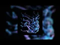 ZARA LARSSON - END OF TIME | SPED UP