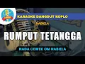 RUMPUT TETANGGA  - [KARAOKE nada CEWEK] NABIELA DANGDUT KOPLO