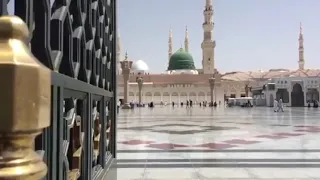 يقول أنس رضي الله عنه لما مات الرسول ﷺ أظلمت المدينة 