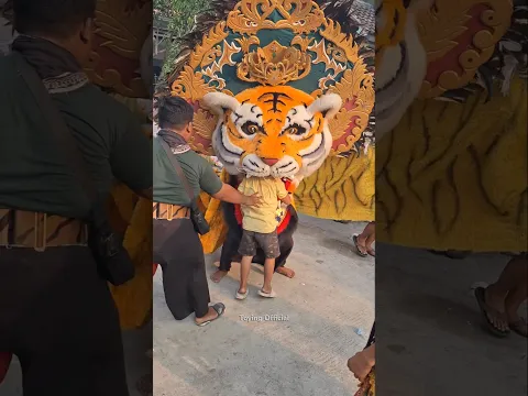 Bocah Jadi Makanan Barongan #shorts