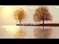 [Playlist]에그플리#659🌠흔적도 없어 단 남은 건 너의 aura🎶AURA - JUNNY (feat. pH-1) (Prod. GXXD) (lyrics)
