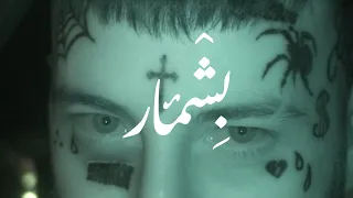                                                                               دندنها