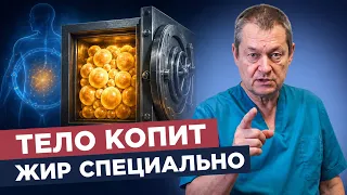 Как похудеть без диет: откуда берётся лишний вес — прямой эфир врача