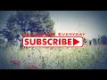 Ashley McBryde - American Scandal (Acoustic Lyric Video)